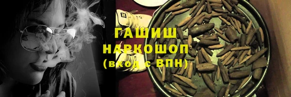 индика Осташков