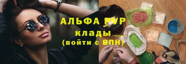 PSILOCYBIN Алзамай