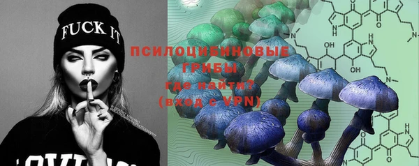 PSILOCYBIN Алзамай